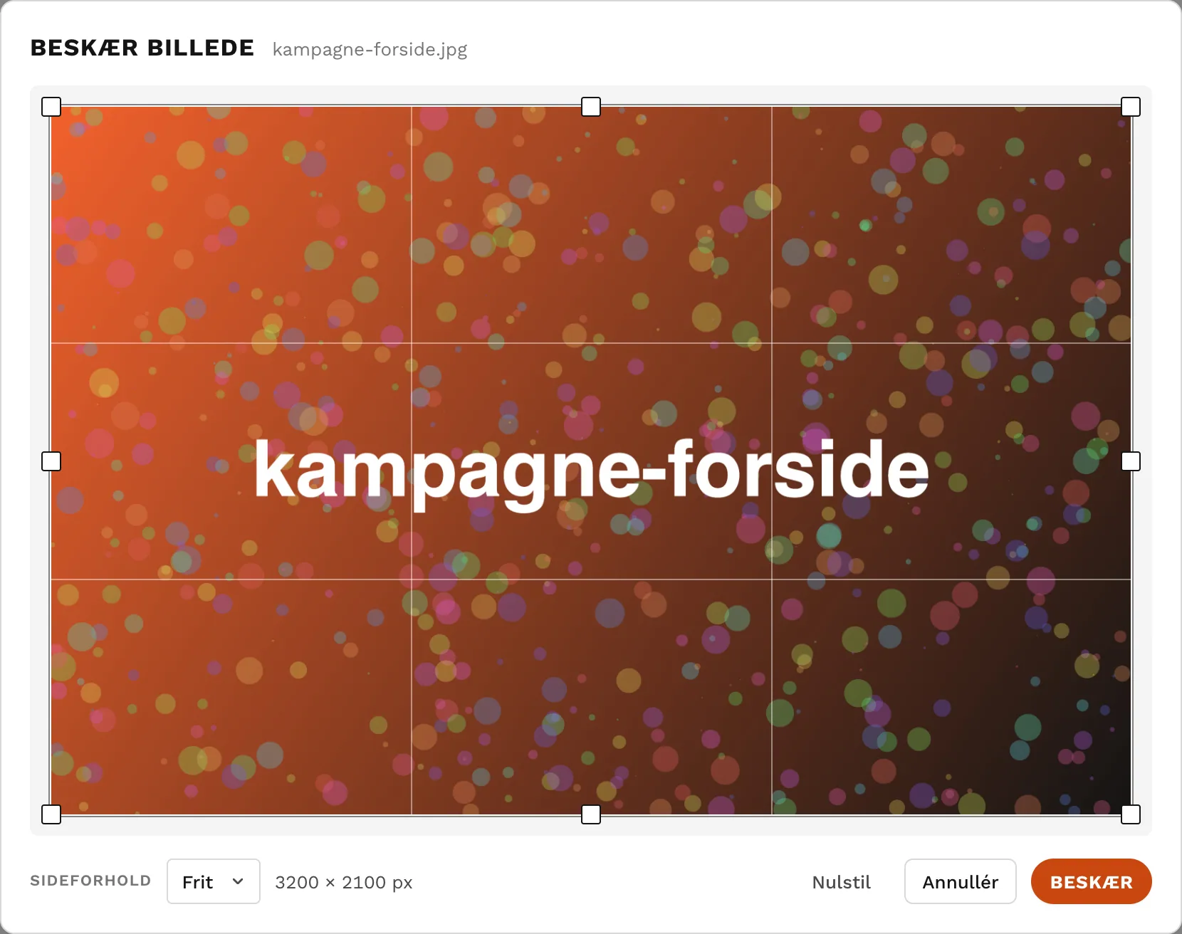 Beskæringsvinduet med rammen trukket hen over billedet.